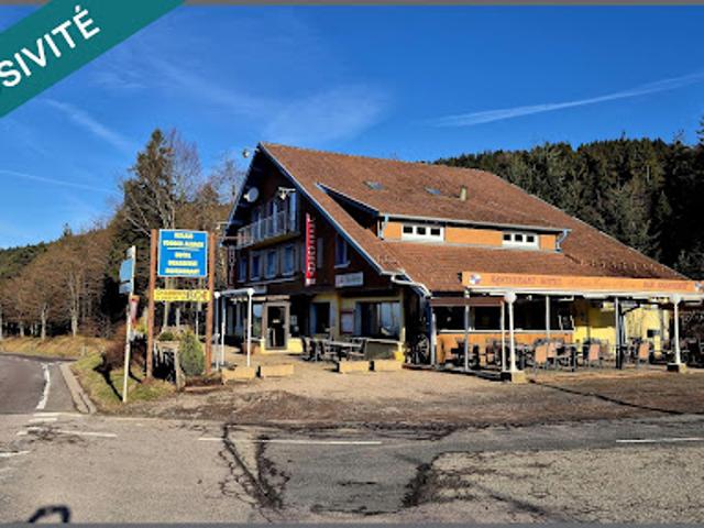 Local Commercial vente à Saint-Dié-des-Vosges, Plainfaing