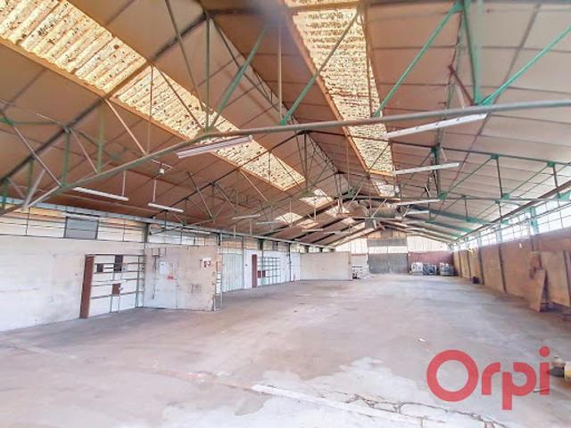 Local Commercial vente à Loches, Neuville-sur-brenne