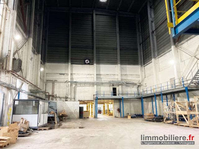 Local Commercial vente à Colmar-Ribeauvillé, Sainte-marie-aux-mines