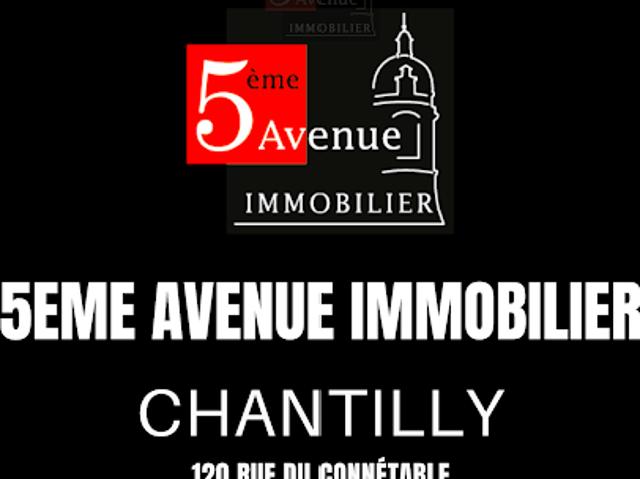 Local Commercial vente à Chantilly