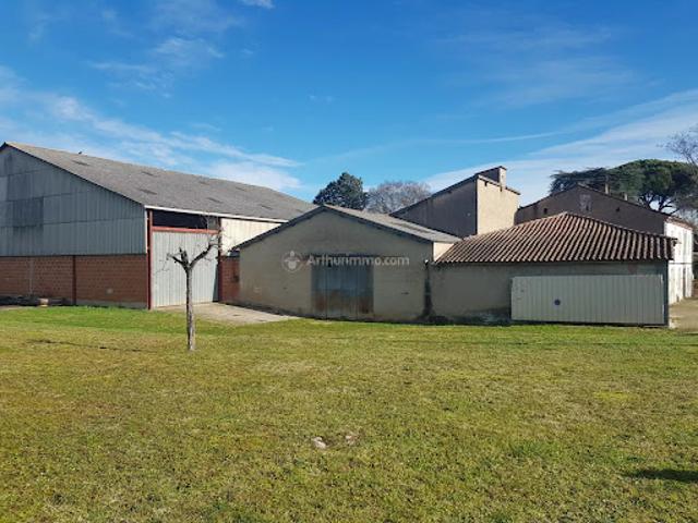 Local Commercial vente à Albi