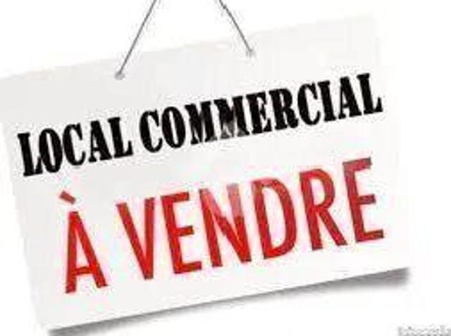 Local Commercial vente à Lesparre-Médoc, Vendays-montalivet