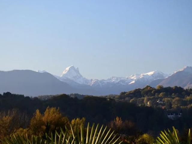 Local Commercial vente à Pau
