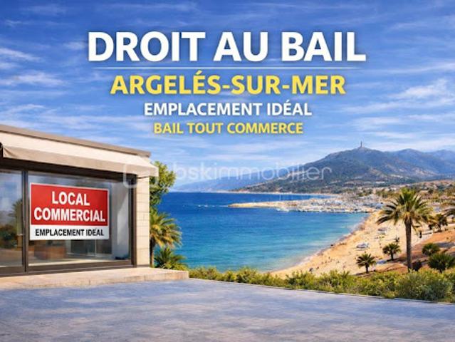 Local Commercial vente à Céret, Argelès-sur-mer