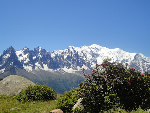 Local Commercial vente à Bonneville, Chamonix-mont-blanc