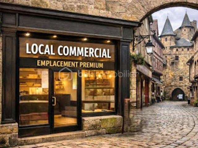 Local Commercial vente à Dinan, Bretagne