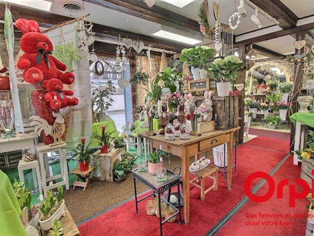 Local Commercial vente à Colmar-Ribeauvillé, Horbourg-wihr