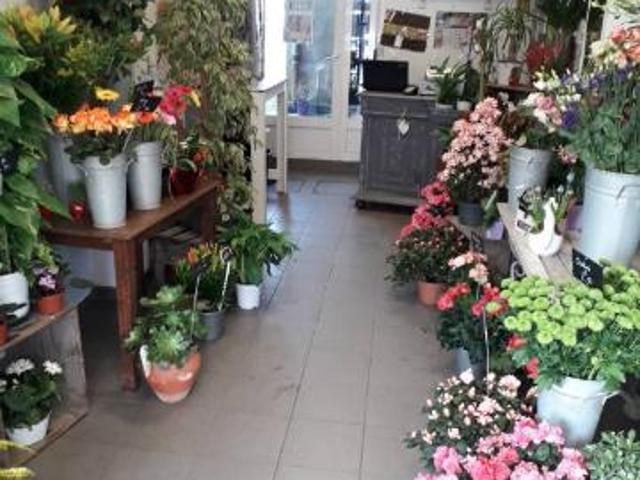 Local Commercial vente à Coutances, Lessay