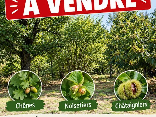 Terrain vente à La Brème, Yvetot