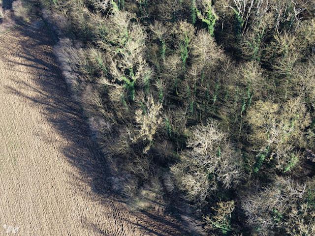 Terrain vente à Saint-Omer, Lumbres