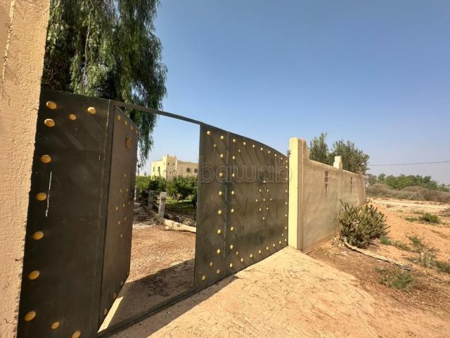 Riad vente à Chaib, Oued ed Dahab-Lagouira