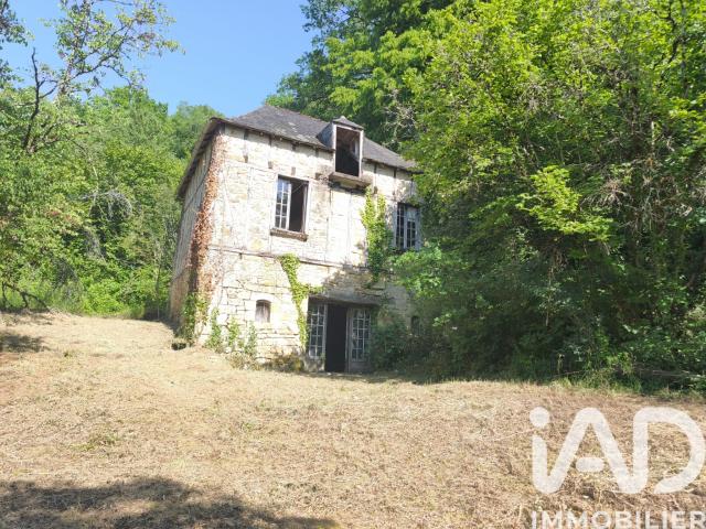 Maison vente à Sarlat-la-Canéda, Terrasson-lavilledieu