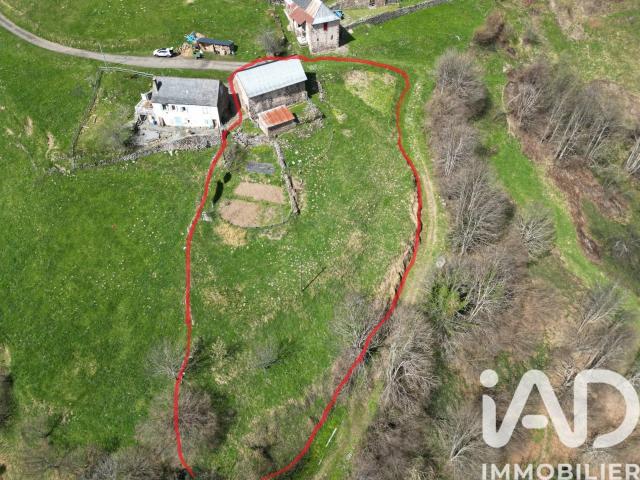 Ferme vente à Oloron-Sainte-Marie, Borce