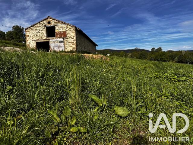 Ferme vente à Montbrison, Sauvain