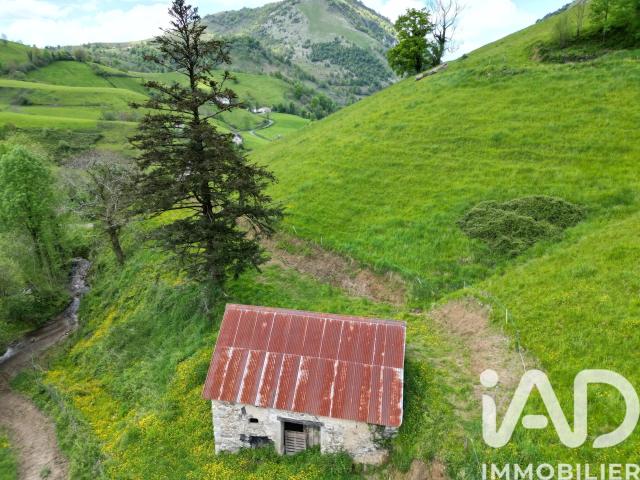 Ferme vente à Oloron-Sainte-Marie, Lourdios-ichère