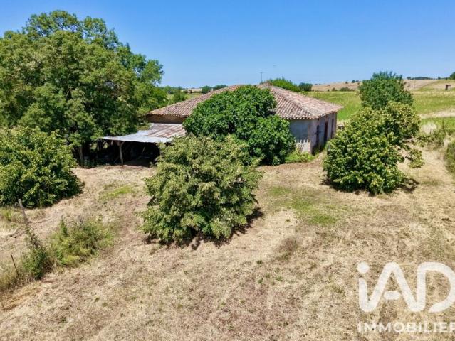 Maison vente à Auch, Escorneboeuf