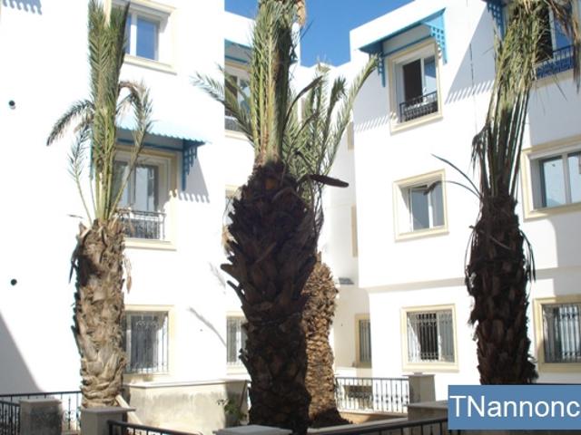 Appartement location