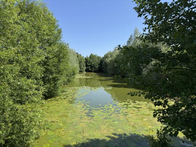 Maison vente à Lure, Magny-vernois