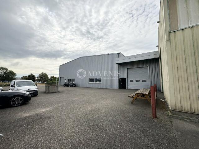 Local Commercial vente à Molsheim, Duttlenheim