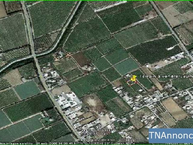 Terrain vente
