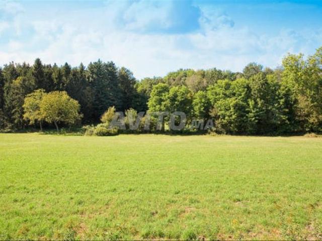 Propriété vente à Lyautey