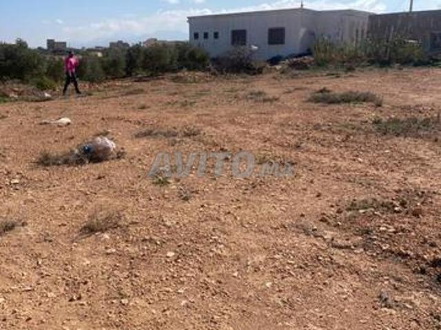 Propriété vente à Nador