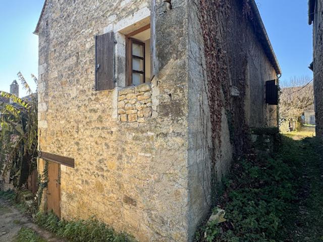 Maison vente à Sarlat-la-Canéda, Castels