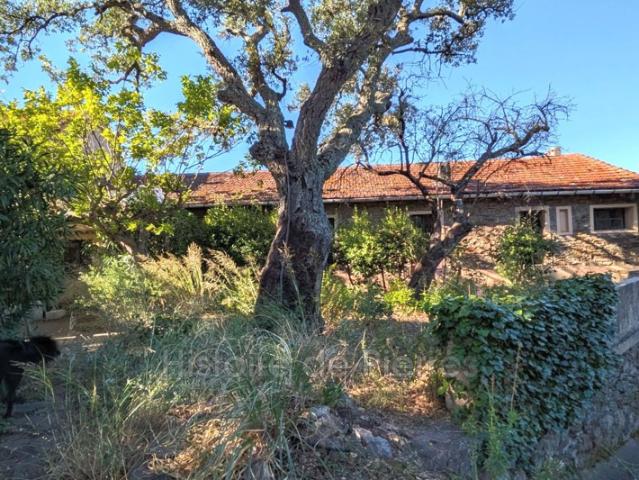 Maison vente à Arrondissement de Draguignan, La Môle