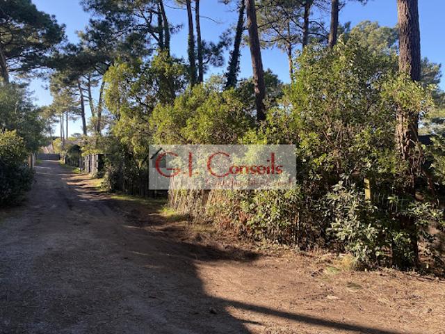Maison vente à Arcachon, Lège-cap-ferret