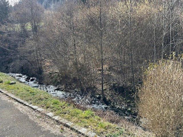 Maison vente à Sondernach, Collectivité européenne d'Alsace