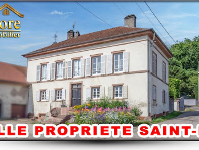 Maison vente à Saint-Dié-des-Vosges, Saint-dié