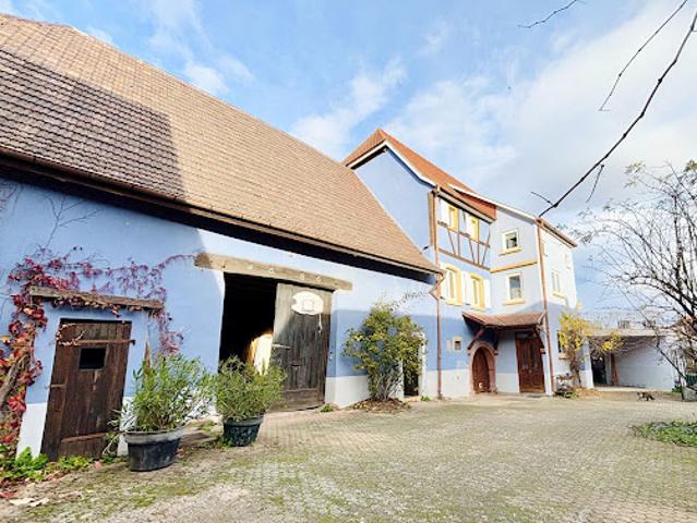 Maison vente à Thann-Guebwiller, Hattstatt