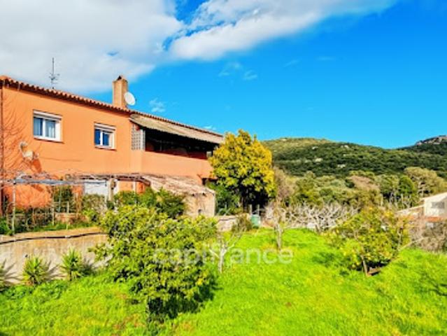 Maison vente à Sartène, Lecci