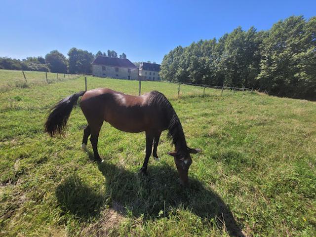 Maison vente à France métropolitaine, Morlanne