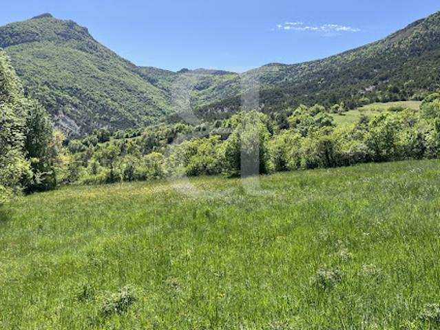 Ferme vente à Nyons, Lemps