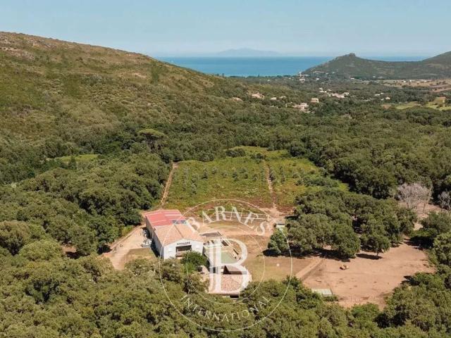 Maison vente à Bastia, Pietracorbara