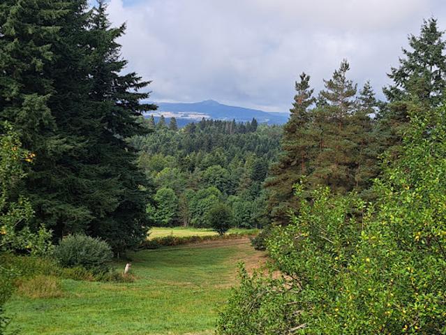 Maison vente à Yssingeaux, Le Chambon-sur-lignon