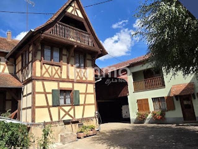 Maison vente à Dambach-la-Ville, Collectivité européenne d'Alsace