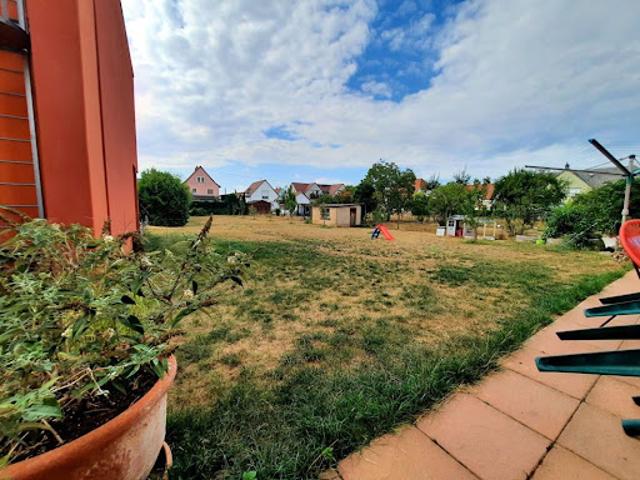 Maison vente à Hœrdt, Collectivité européenne d'Alsace