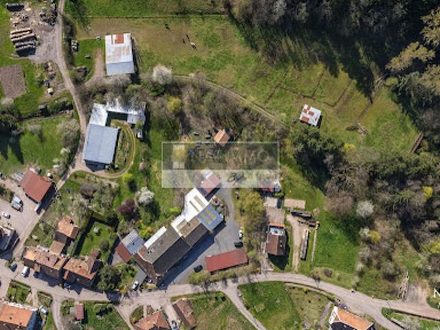 Maison vente à Sélestat-Erstein, Steige