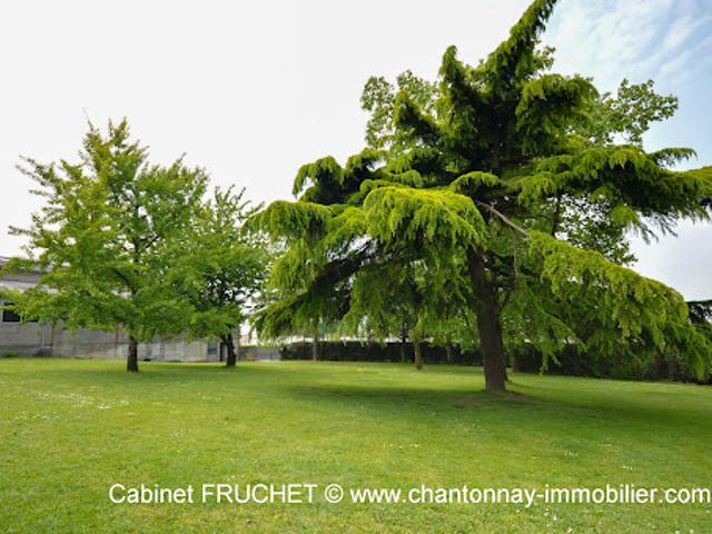 Maison vente à Fontenay-le-Comte, La Tardière