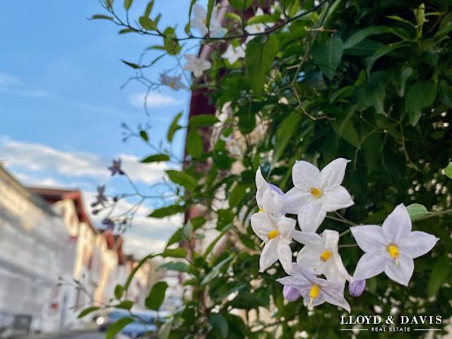 Maison vente à Bayonne, La Bastide-clairence