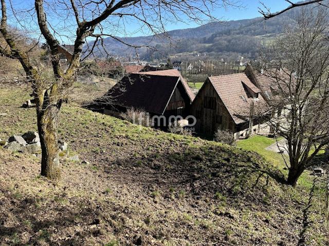 Maison vente à Colmar-Ribeauvillé, Grand Est