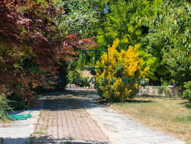 Maison vente à Sartène, Carbini