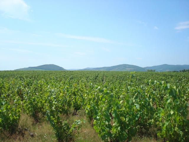Maison vente à Prés Jourdan, Villié-Morgon