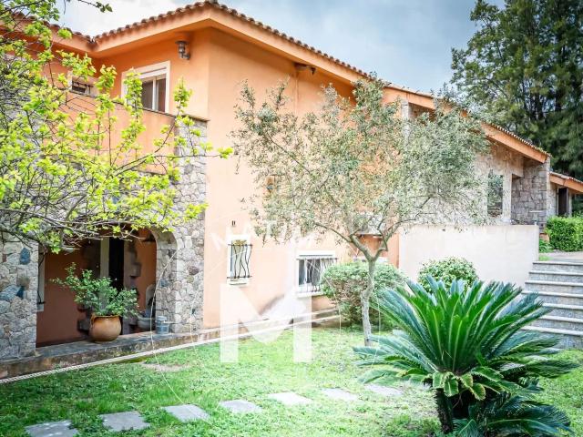 Maison vente à Sartène, Lecci