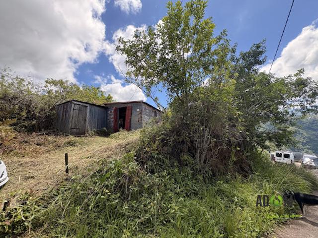 Maison vente à La Réunion