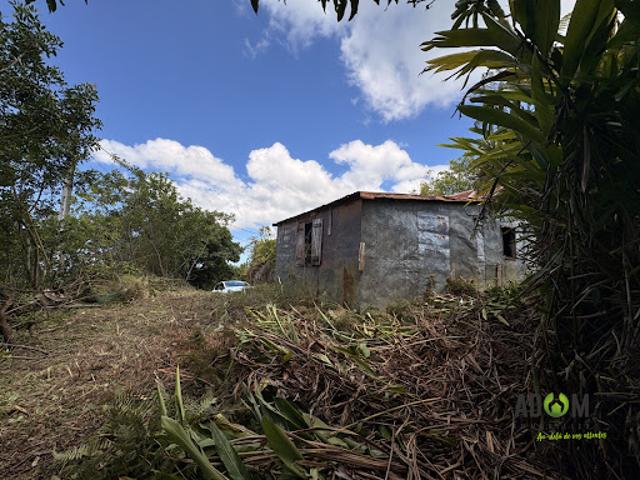 Maison vente à La Réunion