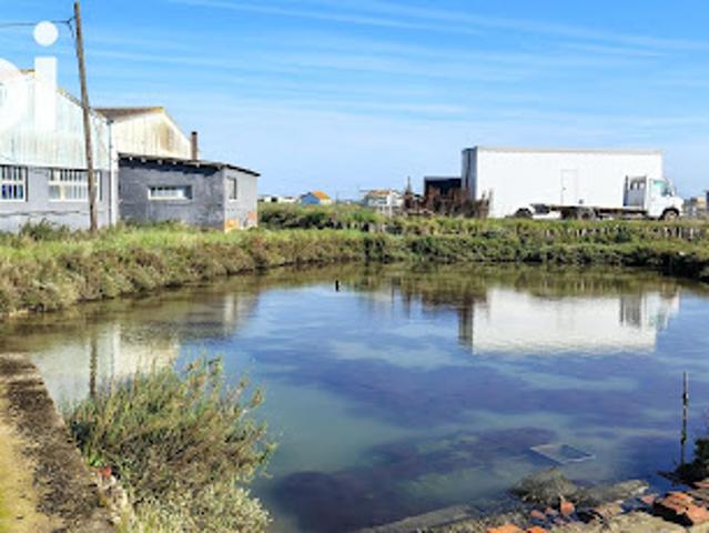 Maison vente à Rochefort, La Tremblade