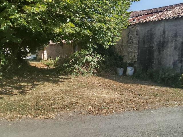 Maison vente à Saint-Jean-d'Angély, Bercloux